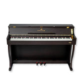 Steiner DP-1400BN Digital Piano – Brown